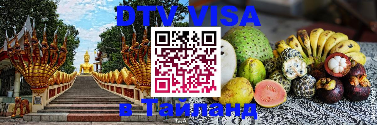 Сколько стоит DTV виза — актуальные цены, оформление даже без документов - Ногинск  18.11.2025 